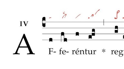 Offertorium: Afferentur regi  virgines: proximae...