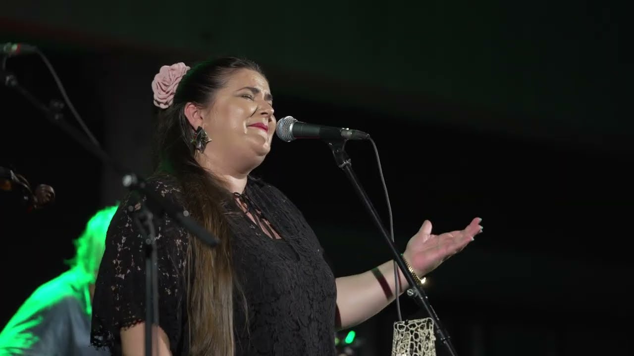 Mostar Sevdah Reunion - Čaje Šukarije  (Live in Slavonski Brod)