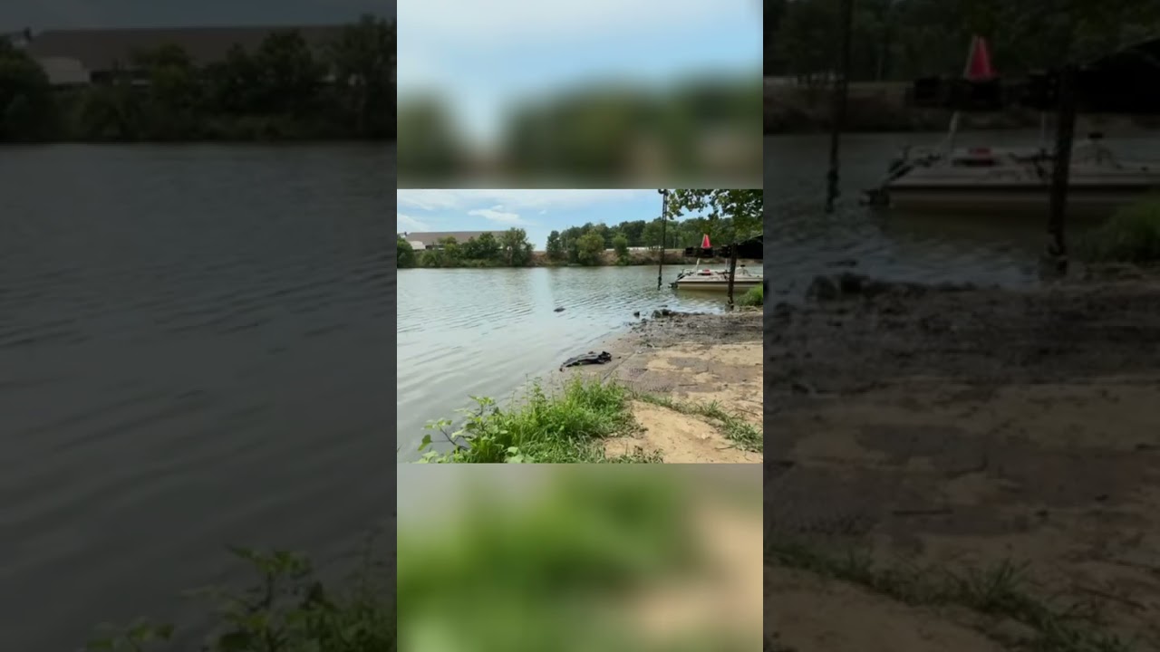 Need a Hand? River Diver Gets Unexpected Zip-Up Assistance!