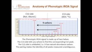 The Phenotypic IROA Protocol