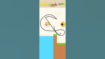 Max Level Save The Dog - Dog Escape Game  All Levels New UPdate Android,ios  Shorts # 17