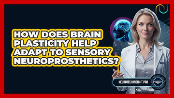 How Does Brain Plasticity Help Adapt To Sensory Neuroprosthetics? - Neurotech Insight Pro