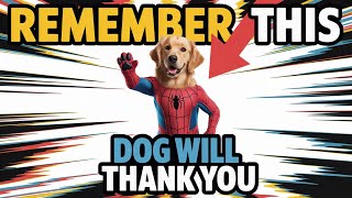 Stop Doing These 9 Things! Your Dog Will Thank You