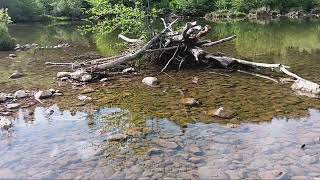 Bear River flows April 27, 2026 80 cfs wetland