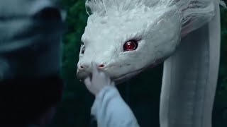 The White Snake: A Love Affair (2021) Full Slasher Movie Explained in Hindi | Movie Explainer