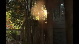 Vespid2s Welcome The Dusk (PYXIS 12K Lens Test)