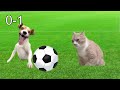 Cat memes  everyday life of a footballer