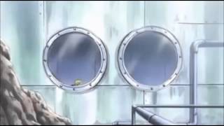 One Piece Luffy be like