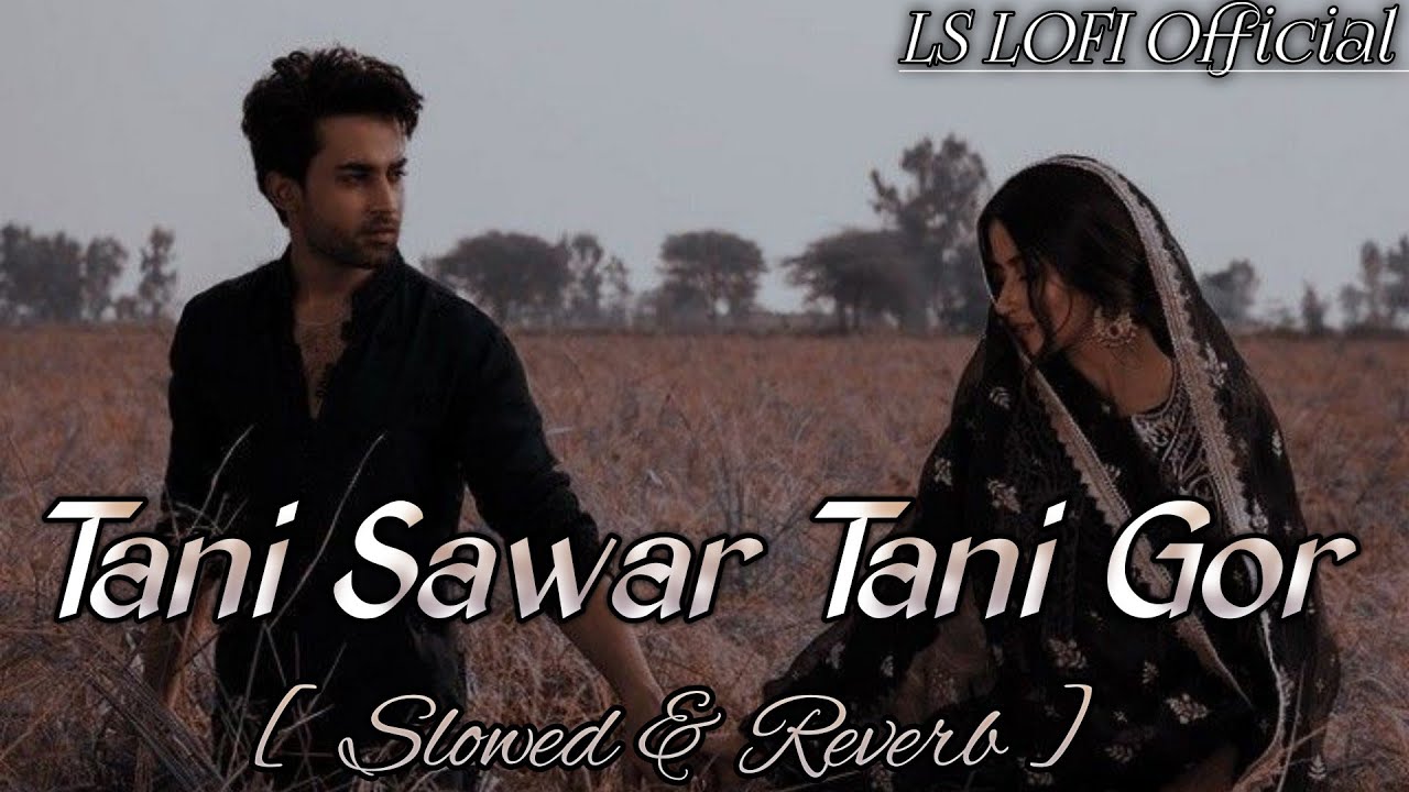 TANI SANWAR TANI GOR - (Slowed + Reverb ) | Pawan Singh love Lofi song  | LS Lofi Official|