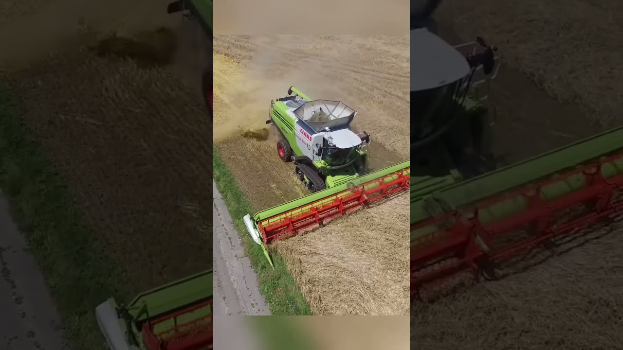 Claas Lexion 770 #fanovi_fanovi #farming #class #like #viral #claas #lexion #claaslexion #fyp 