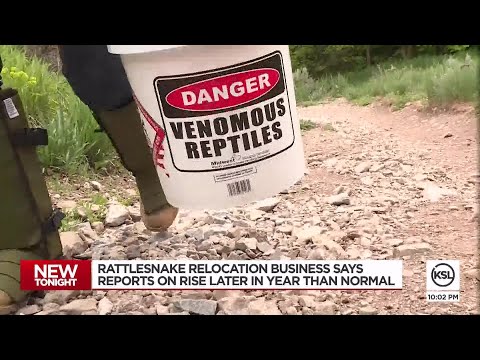 Rattlesnakes are appearing on Utah trails, around homes later than normal