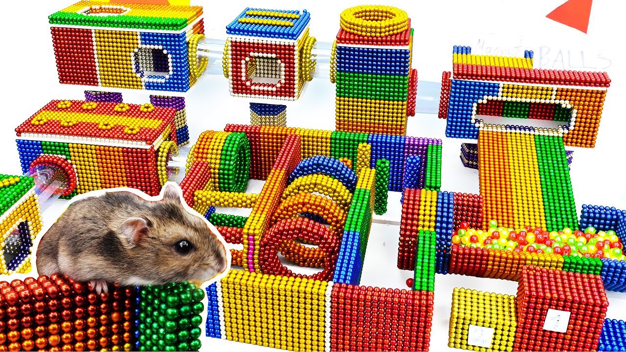 hamster maze videos