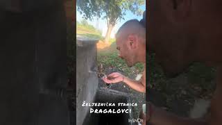 Dragalovci Osredak Mama Veronika Poslala Sina Po 1 Litar Mlijeka Sssuuuuiii