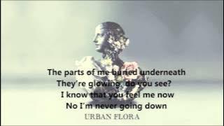 Alina Baraz & Galimatias - Unfold Lyrics