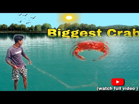 MY BIGGEST CRAB 😱 catch Ever ! Full River Fishing Adventure🦀🎣