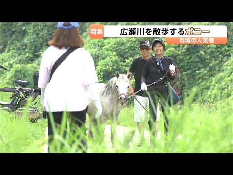 A reporter encountered an unusual resident of Hirosegawa while covering a landslide! What did the...