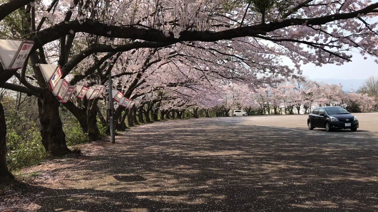 成田山福井別院 三国町 Youtube 成田山福井別院 三国町 Youtube