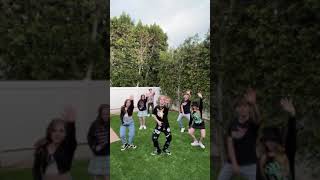 Lev Cameron | TikTok