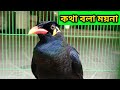 কথা বলা ময়না পাখি | @Banglar Khamar