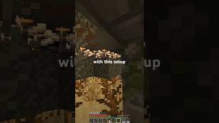 Building with ALL BLOCK AMBIENCE #minecraft #howto #build #sound #ambience #tutorial #challenge #smp