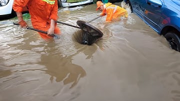 Quick Fix Unclog a Flooded Street Drain with These Tools!