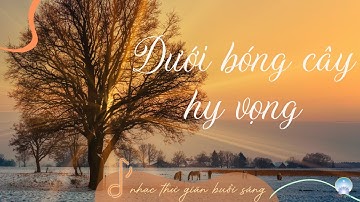 Nhạc Thư Giãn Khi làm Việc | Dưới Bóng Cây Hy Vọng | Inner Space