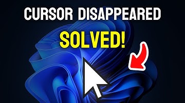 Mouse Cursor Disappeared on Windows 11 & 10 - FIXED!