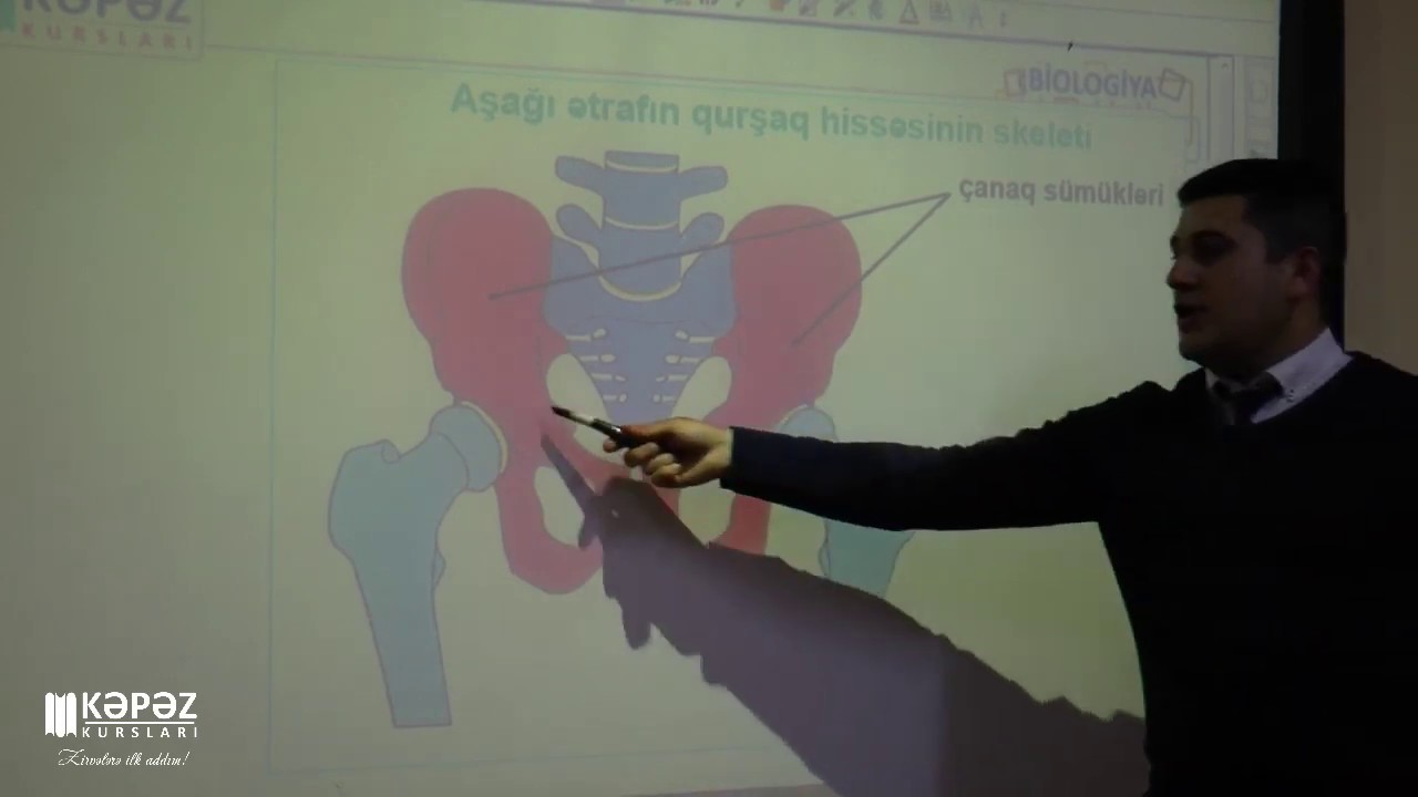 Biologiya fənni - Dayaq-hərəkət aparatı