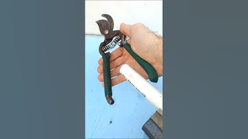 Pruning shears for cutting high branches #shorts #diy #garden #tips
