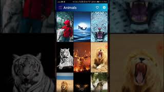 Easily download any 4K or HD wallpaper | Amazing Wallpaper Android App  🔥🔥🔥 screenshot 1