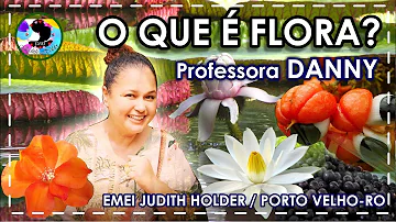 Cosa significa il termine flora?