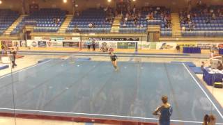 Michaela'a level 7 floor routine 2015