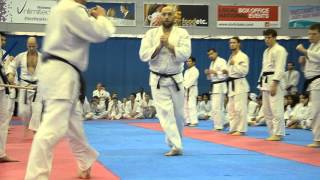Sensei Andrew Millard Gauntlet - Atemi Nationals Open - 2015