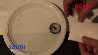 Physics Discoveries and projects - Floating magnet
