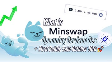 MinSwap: Multi-Pool Dex Exchange on Cardano | First Public Sale October 10th