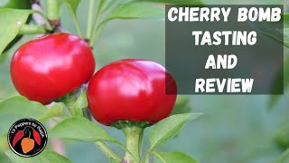 Cherry Bomb Tasting and Review