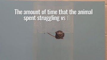 Ban the Cruel and Invalid Forced Swim Test NZ