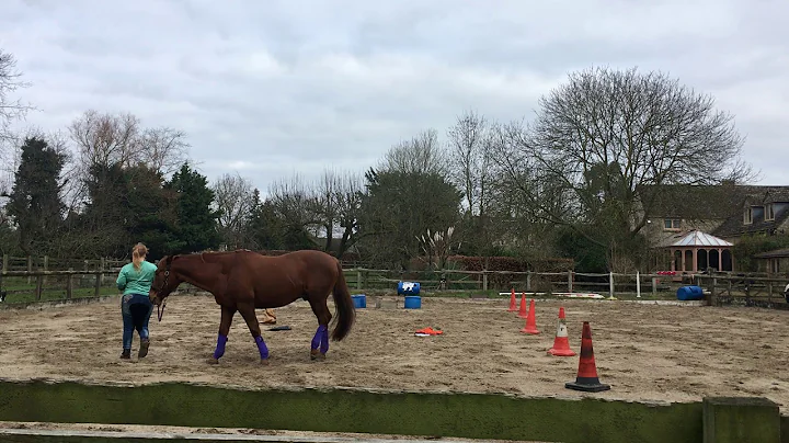 Interdressage - Naomi Sutton, Glen Arch, 9A Januar...