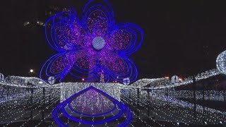 81万の光、札幌彩る イルミネーション開幕