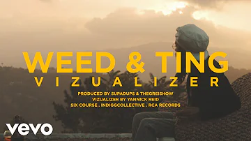 Protoje - Weed & Ting (Visualizer)