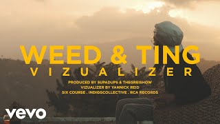 Protoje - Weed &amp; Ting (Visualizer)