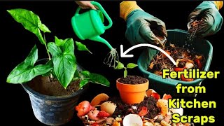 Make Liquid Fertilizer from Kitchen Scraps || Gardening Hack