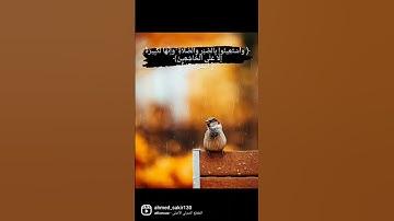 واستعينوا بالصبر والصلاة #قران_كريم #قرآن #تلاوة_هادئة #تلاوة_خاشعة #تلاوات_خاشعة #سورة_البقرة