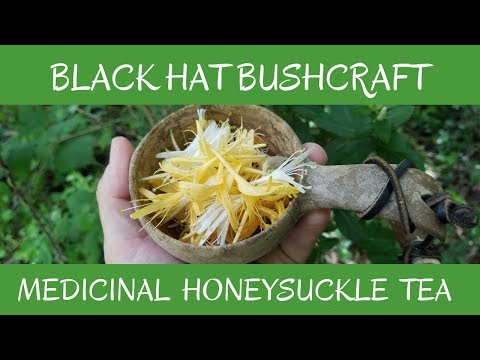 Video: Honeysuckle Yang Bisa Dimakan