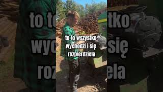 ⚙️ Jaka wyciągarka do lasu?