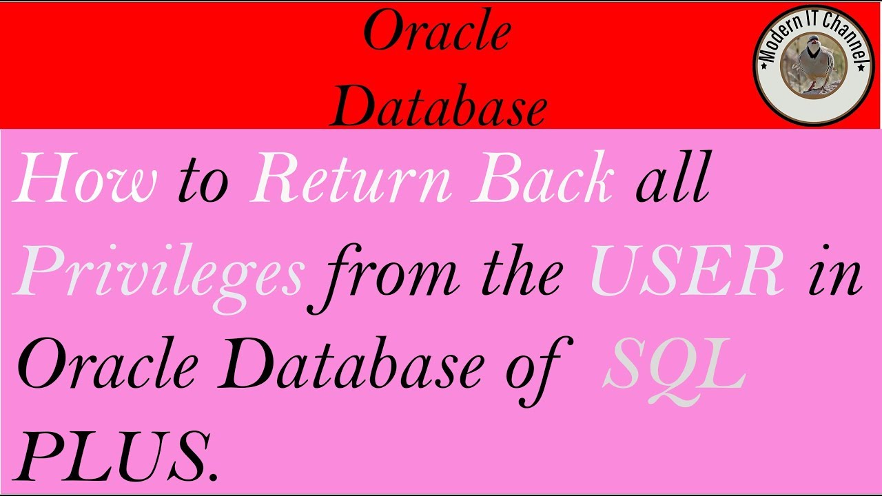 How to return all privileges from oracle user in oracle database in ...