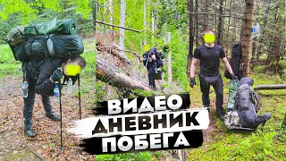 видео: #264 Решил записать на видео каждый момент. На той стороне нас встретили 6 волкодавов. картинка: #264 Решил записать на видео каждый момент. На той стороне нас встретили 6 волкодавов.