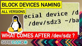 Block devices sda, sdb, sdc. What comes after sdz on an Linux environment?