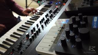 Modal CraftSynth 2.0 Demo I No Talking + Custom Patches