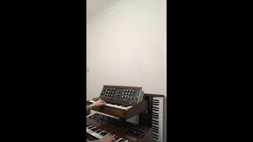 Benjamin Croft -  One Million Years at Sea - live teaser on Mini-moog and Prophet 5
